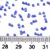 11/0 Grade A Glass Seed Beads X-SEED-S030-1010-4