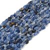 Natural Kyanite Beads Strands G-Q060-D17-2