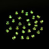Glow in the Dark Luminous Transparent Glass Seed Beads SEED-YWC0001-01G-7