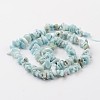 Chip Natural Larimar Bead Strands G-M349-09-3