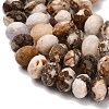 Natural Petrified Wood Beads Strands G-C259-A06-8x12mm-02-3
