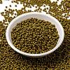 MIYUKI Round Rocailles Beads SEED-G008-RR4491-2