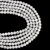 Natural Rainbow Moonstone Beads Strands G-C280-B15-6mm-5