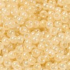 Glass Seed Beads SEED-H002-H-1308-3