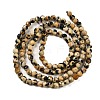 Natural Dalmatian Jasper Beads Strands G-Z068-B07-01-3