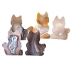 Natural Agate Display Decorations PW-WG01105-01-3