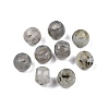 Natural Labradorite European Beads G-T092-10mm-30-1