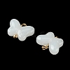 Alloy Glass Pendants GLAA-P080-01G-03-2