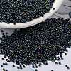 MIYUKI Round Rocailles Beads X-SEED-G009-RR0455-1