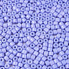 Opaque Baking Paint Glass Seed Beads SEED-T008-02R-3