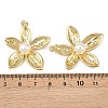 Brass Pendants KK-L255-23G-4