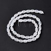 Natural White Agate Beads Strands X-G-C247-01A-3