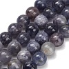 Natural Iolite Beads Strands G-G300-A04-8mm-2