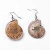 Fossil Spiral Dangle Earrings EJEW-P153-01-2