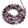 Natural Purple Lodolite Quartz/Purple Phantom Quartz Beads Strands G-T140-21C-3