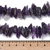 Natural Amethyst Beads Strands G-B169-A01-4