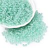 6/0 Transparent Inside Colours Glass Seed Round Beads X1-SEED-N006-004C-1