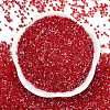 Electroplate Glass Seed Beads SEED-H003-10A-3