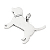 Non-Tarnish 304 Stainless Steel Pendants X-STAS-E205-09P-2