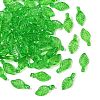 Transparent Acrylic Charms X-TACR-F009-11E-1