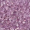 Transparent Inside Colours Glass Seed Beads SEED-T007-13J-2
