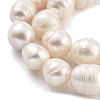 Natural Cultured Freshwater Pearl Beads Strands PEAR-P062-23-4