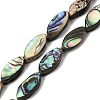 Natural Abalone Shell Paua Shell Beads Strands SH-CBA69D1-01-1