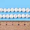 Natural Cultured Freshwater Pearl Beads Strands PEAR-N013-06R-01-5