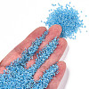 12/0 Glass Seed Beads SEED-A016-2mm-211-5