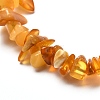 Natural Amber Chip Beads Stretch Bracelets Set for Parent and Kid BJEW-JB06819-5