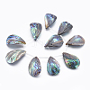 Natural Abalone Shell/Paua Shell Beads Strands SSHEL-P014-03-2