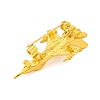 Zinc Alloy Crystal Rhinestone Brooch JEWB-U010-03G-01-2