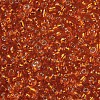 8/0 Glass Seed Beads X2-SEED-A005-3mm-29-2
