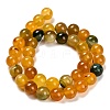 Dyed Natural Agate Beads Strands G-G203-10F-10mm-3