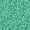 MIYUKI Round Rocailles Beads SEED-JP0008-RR0219-3