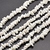 Opaque Glass Chip Beads Strands G-M205-25-1