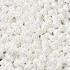 6/0 Glass Seed Beads SEED-M012-01A-16-3