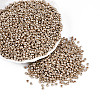 8/0 Glass Seed Beads X-SEED-A017-3mm-1107-3