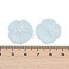 Frosted Transparent Acrylic Beads LS-OACR-P029-19B-06-4