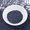 MIYUKI Delica Beads SEED-JP0008-DB0301-2