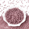 FGB Frosted Transparent Glass Seed Beads SEED-N013-04A-06-2