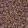 Cylinder Seed Beads X-SEED-H001-G19-4