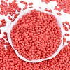 Baking Paint Glass Seed Beads X1-SEED-K010-A08-3