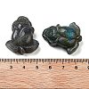 Natural Labradorite Carved Cabochons G-C152-08-3