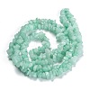 Dyed Natural Amazonite Beads Strands G-G011-08-3