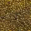 TOHO Round Seed Beads SEED-XTR08-2155S-2