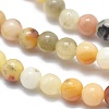 Natural Crazy Lace Agate Beads Strands G-A177-04-20-3