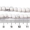 Natural Howlite Beads Strands G-G001-B02-06-5