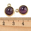 Natural Amethyst Half Round Charms STAS-L080-009G-04-3