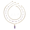 Natural Amethyst Double Terminated Pointed Bullet Pendant 304 Stainless Steel & Brass Chain 3 Layer Necklaces for Women NJEW-JN05477-01-4